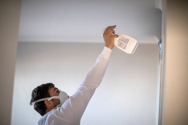 Best Emergency Mold Removal  in Everett, WA