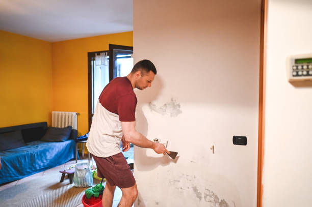 Best Local Mold Removal Service  in Everett, WA
